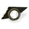 DIEDERICHS 4226249 Ventilation Grille, bumper